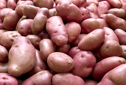 Купить семена Картофель Potato Dezire в Москве: доставка семян по России иСНГ - интернет-магазин «Сады Семирамиды»