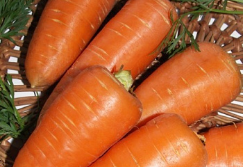 Морковь Carrot Royal Chanson 