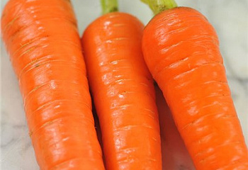 Морковь Carrot Shin Kuroda 