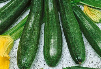 Кабачок Marrow squash Zucchini Spineless Beauty 