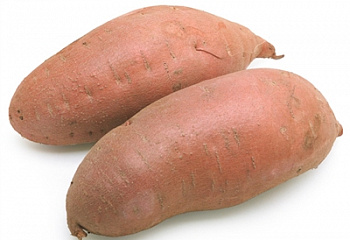 Батат или Сладкий картофель Sweet Potato Garnet 