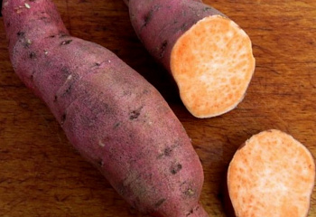 Батат или Сладкий картофель Sweet Potato Bradshaw 