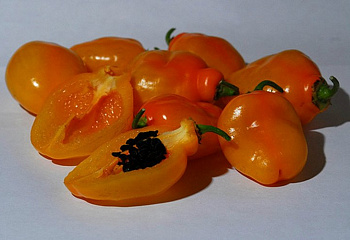 Перец острый Hot pepper Yellow manzano 