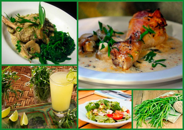 Пряность в разных блюдах: в салате, напитке и курице по-французски