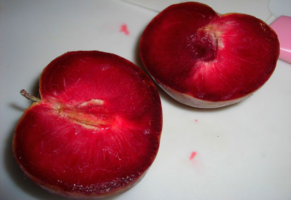 Грейпл − гибрид винограда и яблока