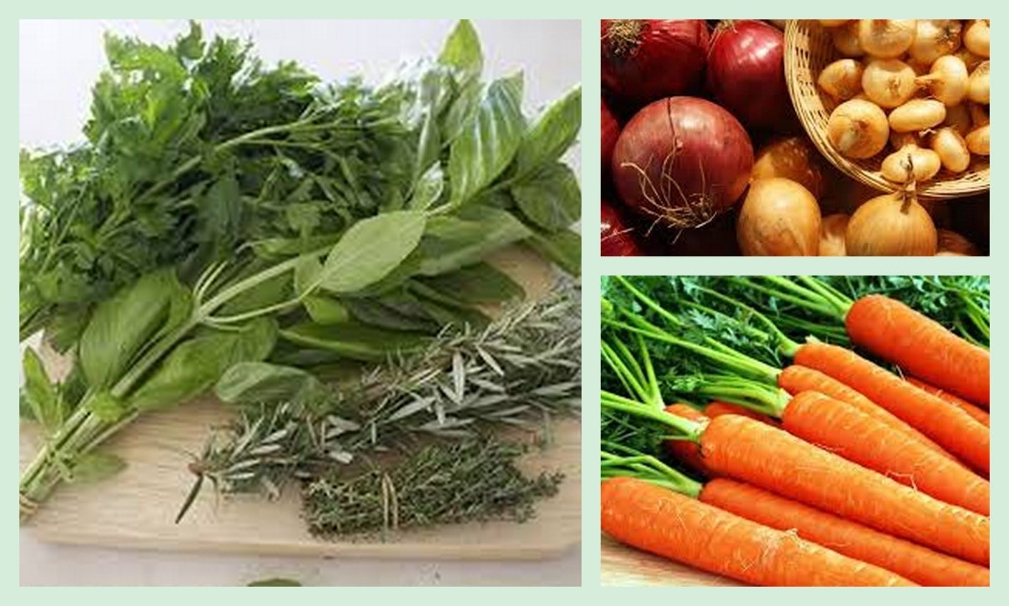 Семена трех видов надо хранить в холоде – морковь, репчатый лук, зеленные культуры