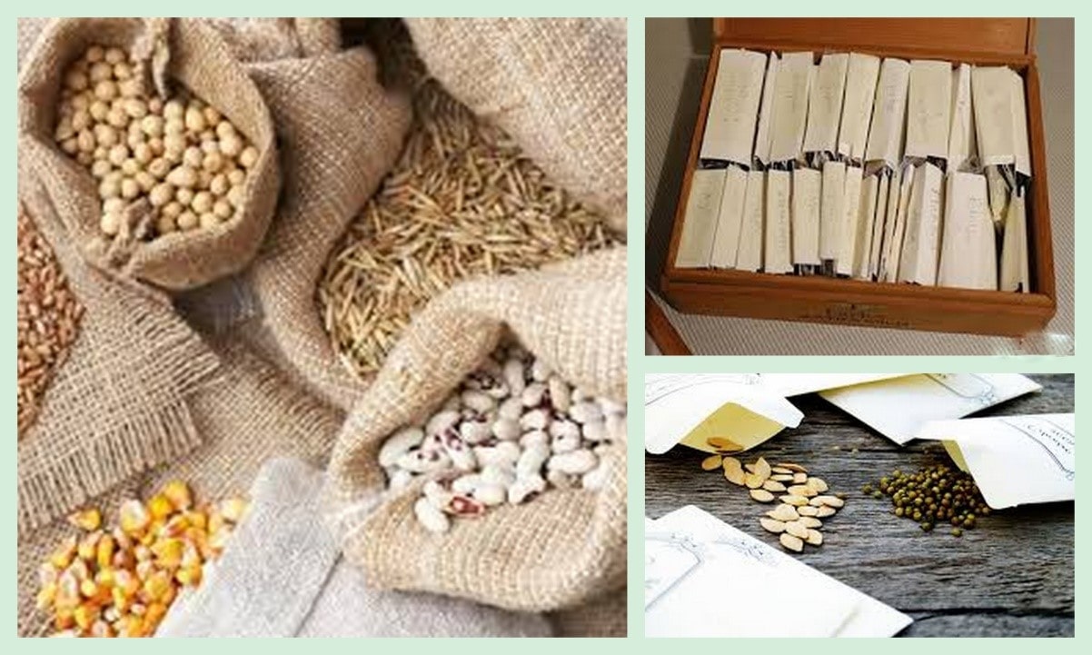 Текстиль, дерево и бумага – лучшие материалы для контейнеров под хранение семян