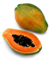 Папайя или Дынное дерево Carica papaya Kamiya 