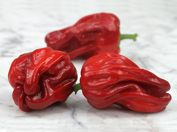 Перец острый Hot pepper Criolla De Cocina Pepper
