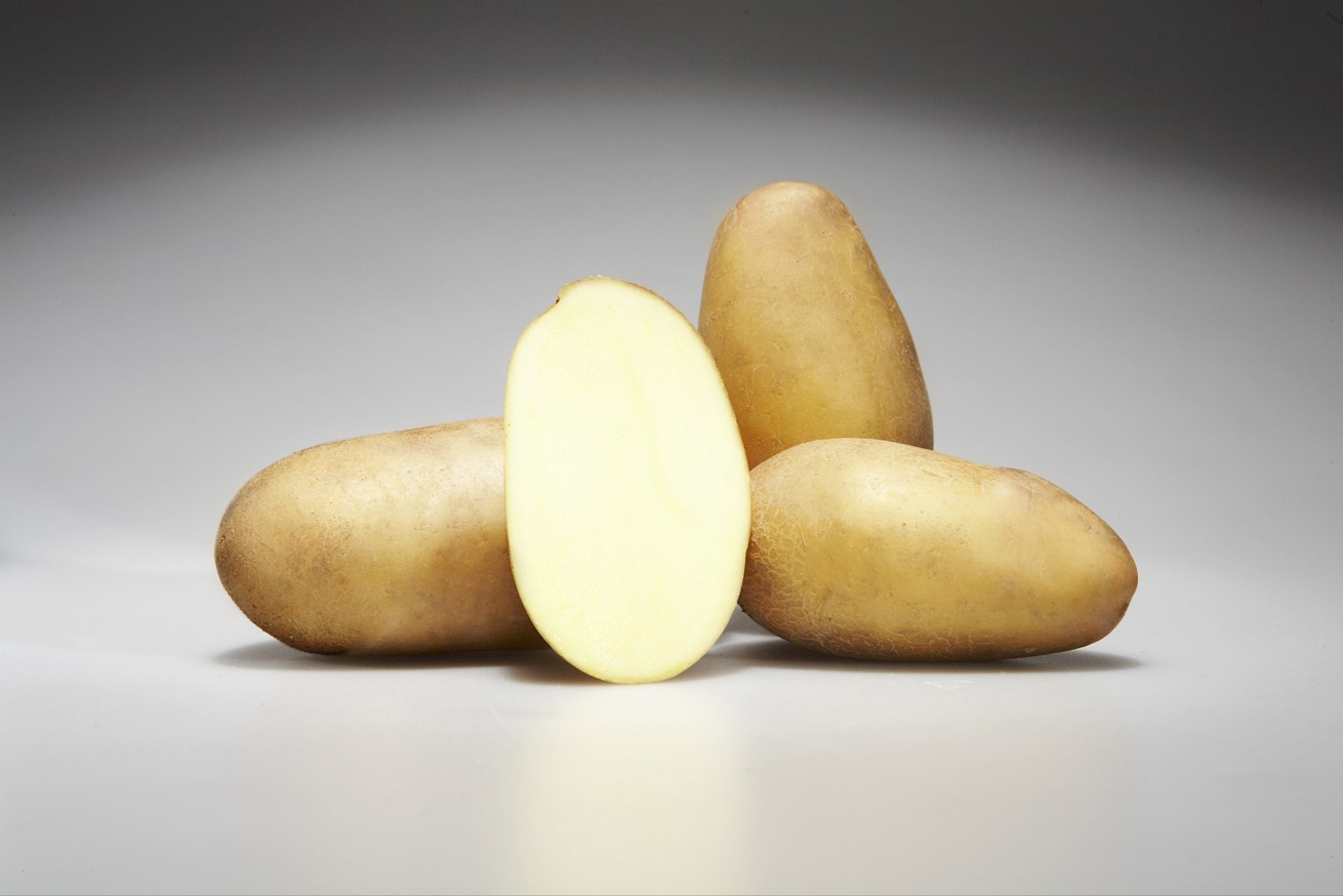 Картофель Potato Stefanie