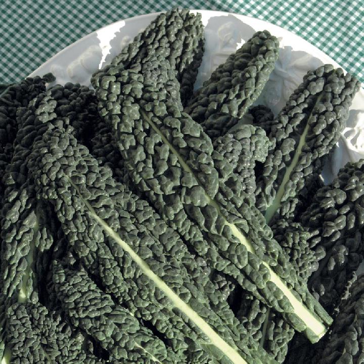 Капуста листовая Кале Kale Nero di Toscana