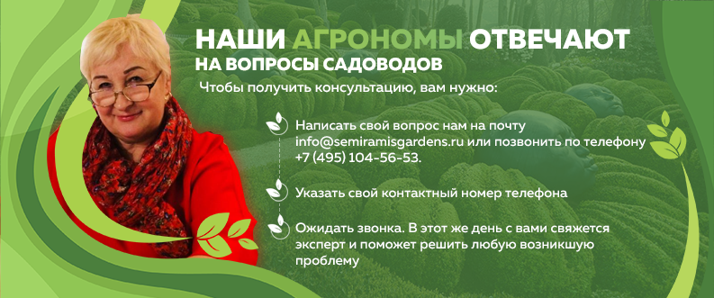 Магазин Семян Агроном