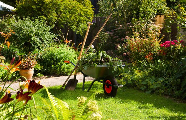 Как минимизировать труд в саду