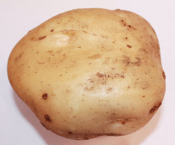 Картофель Potato Timo