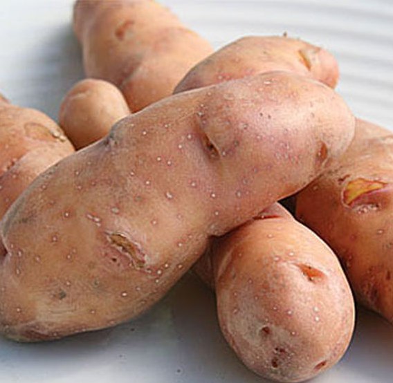 Картофель Potato Rose Finn Apple