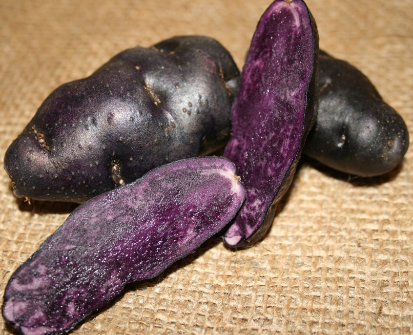 Картофель Potato Purple Peruvian