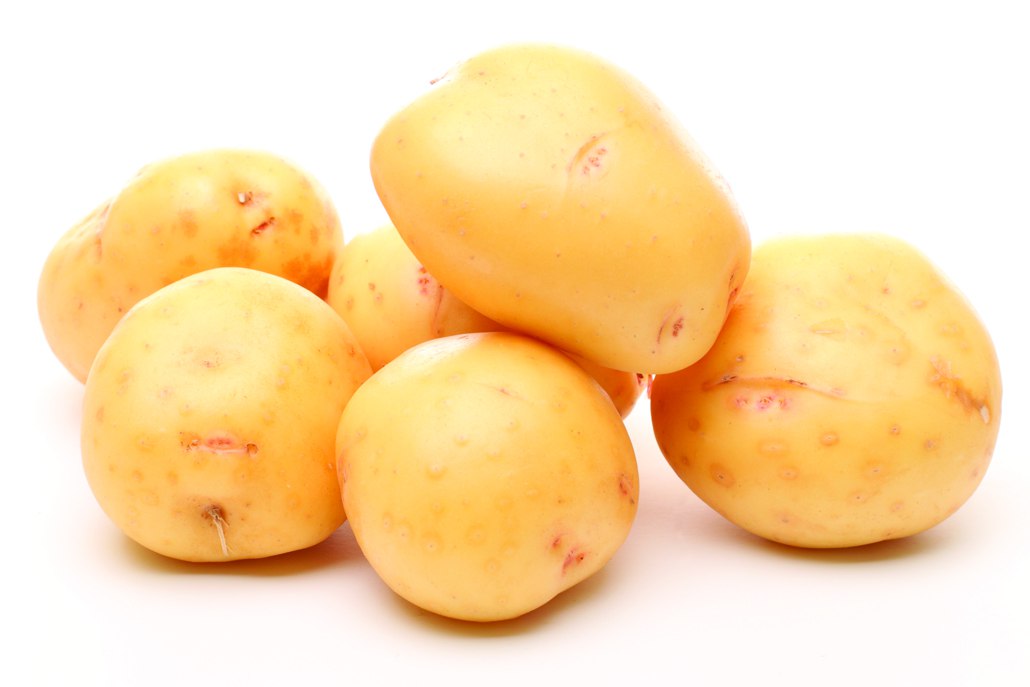 Картофель Potato Yukon Gold