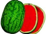 Арбуз Watermelon Stabolite F1 