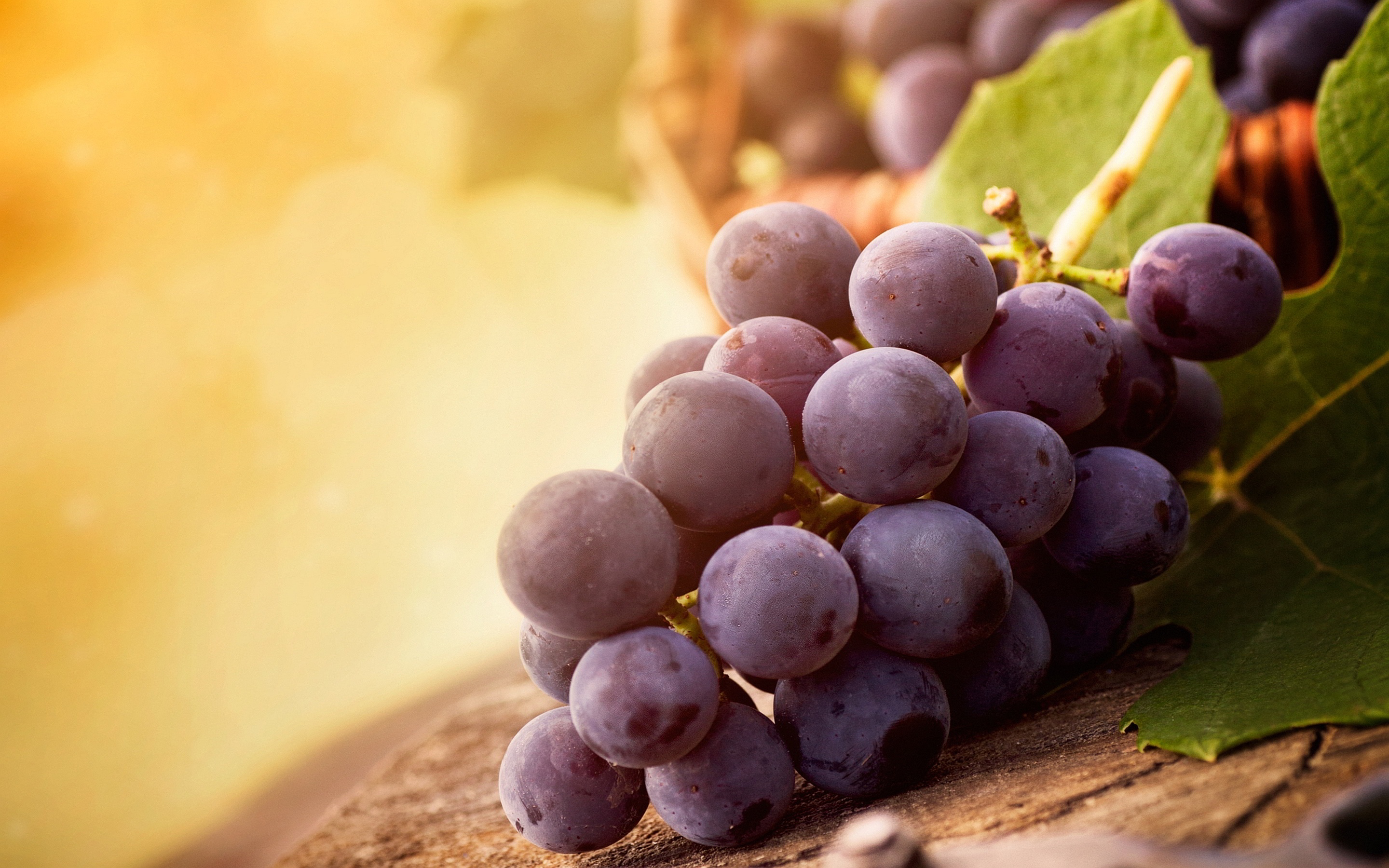 3 способа ускорить плодоношение винограда