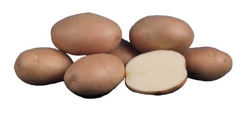 Картофель Potato Romano