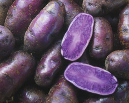 Картофель Potato Violetto