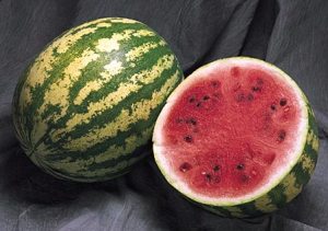 Арбуз Watermelon Madera F1 