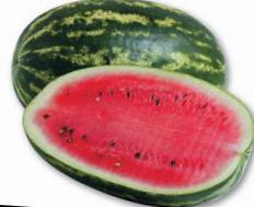 Арбуз Watermelon Prince Artur F1 