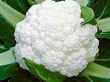 Капуста цветная Cauliflower Solis 