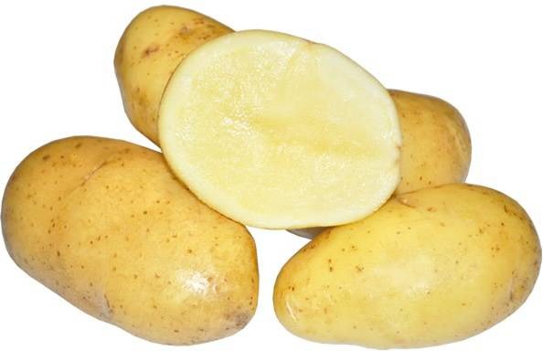 Картофель Potato Rumba