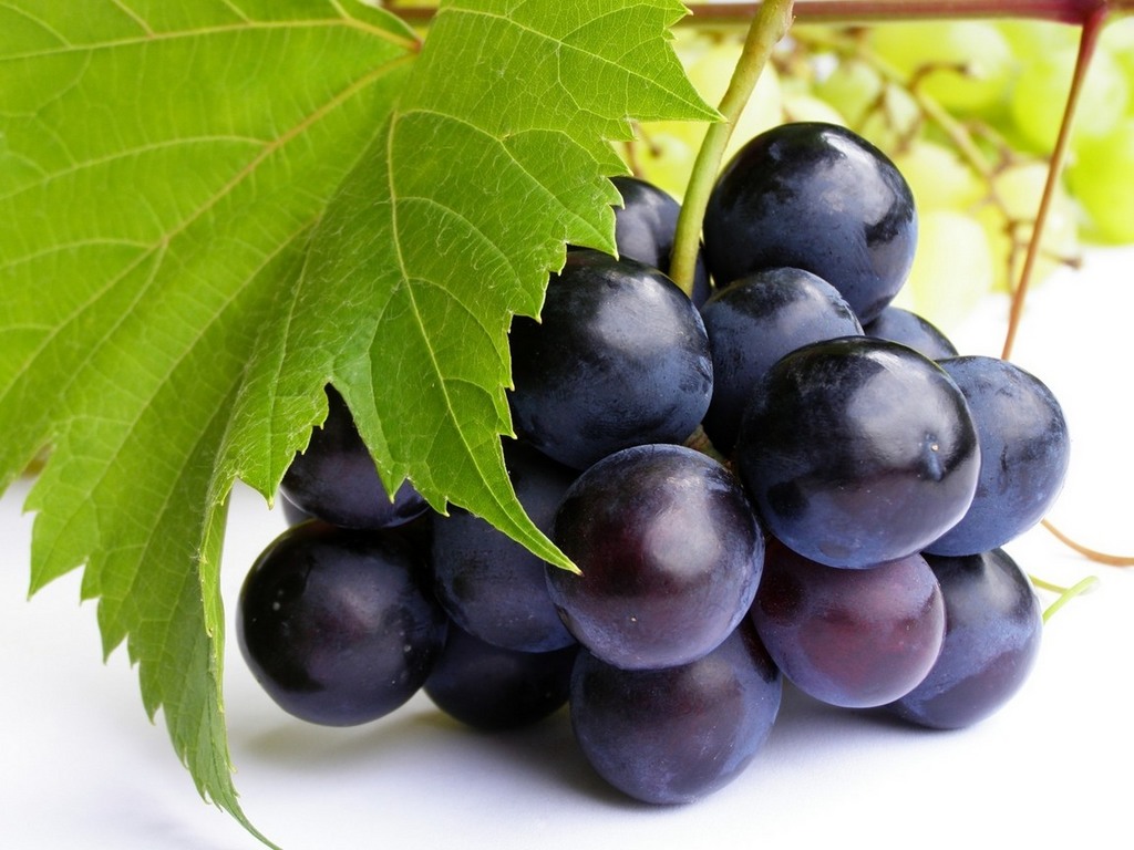 Виноград плодовый Vitis vinifera Alphonse Lavallеe