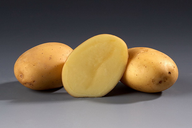 Картофель Potato Vitesse