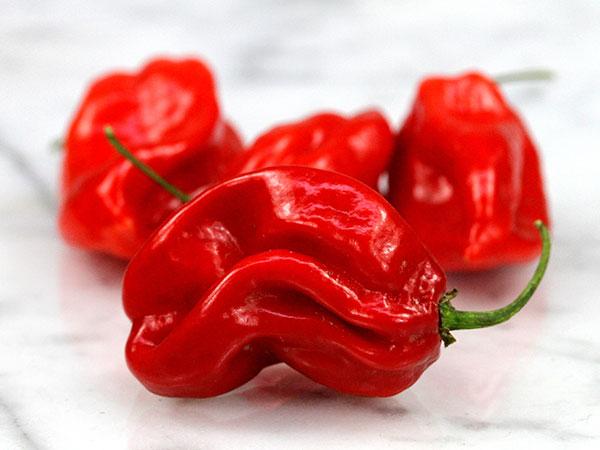 Перец острый Hot pepper Zavory Habanero Hot Pepper