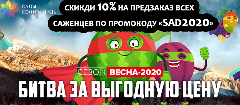 Сады Семирамиды Интернет Магазин Саженцы Каталог 2022