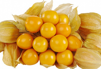Физалис Tomatillo yellow 