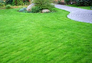 Трава газонная Строительный (Рекультивация) 