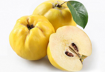 Айва крупноплодная Cydonia oblonga Golden Lemonка