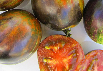 Помидор Тomato Cosmic Eclipse 