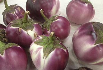 Баклажан Eggplant Round Mauve F1 