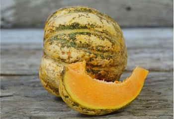 Дыня Melon Early Frame Prescott 