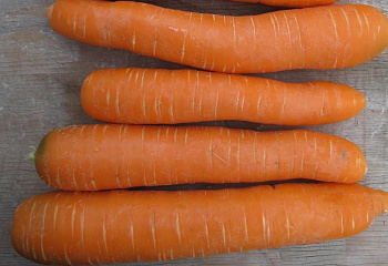 Морковь Carrot Yearly Nant 