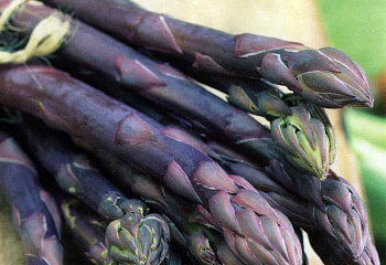 Спаржа Asparagus Pacific Purple 