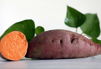 Батат или Сладкий картофель Sweet Potato Carolina Ruby 