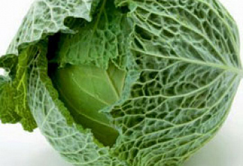 Капуста савойская  Savoy cabbage Morama 