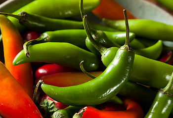Перец острый Hot pepper Serrano 