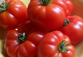 Помидор Тomato Marmande 