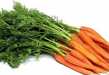 Морковь Carrot Baby Bunch 