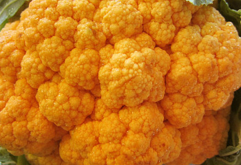 Капуста цветная Cauliflower Orange Burst 