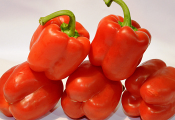 Перец сладкий  Sweet pepper Melrose Pepper 