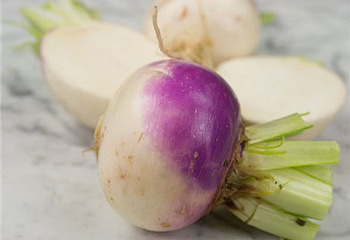 Репа Turnip Purple Top White Globe 
