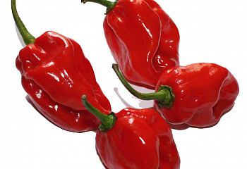 Перец сладкий  Sweet pepper Romanian Red Hot 